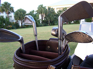 Vedomosti Golf club